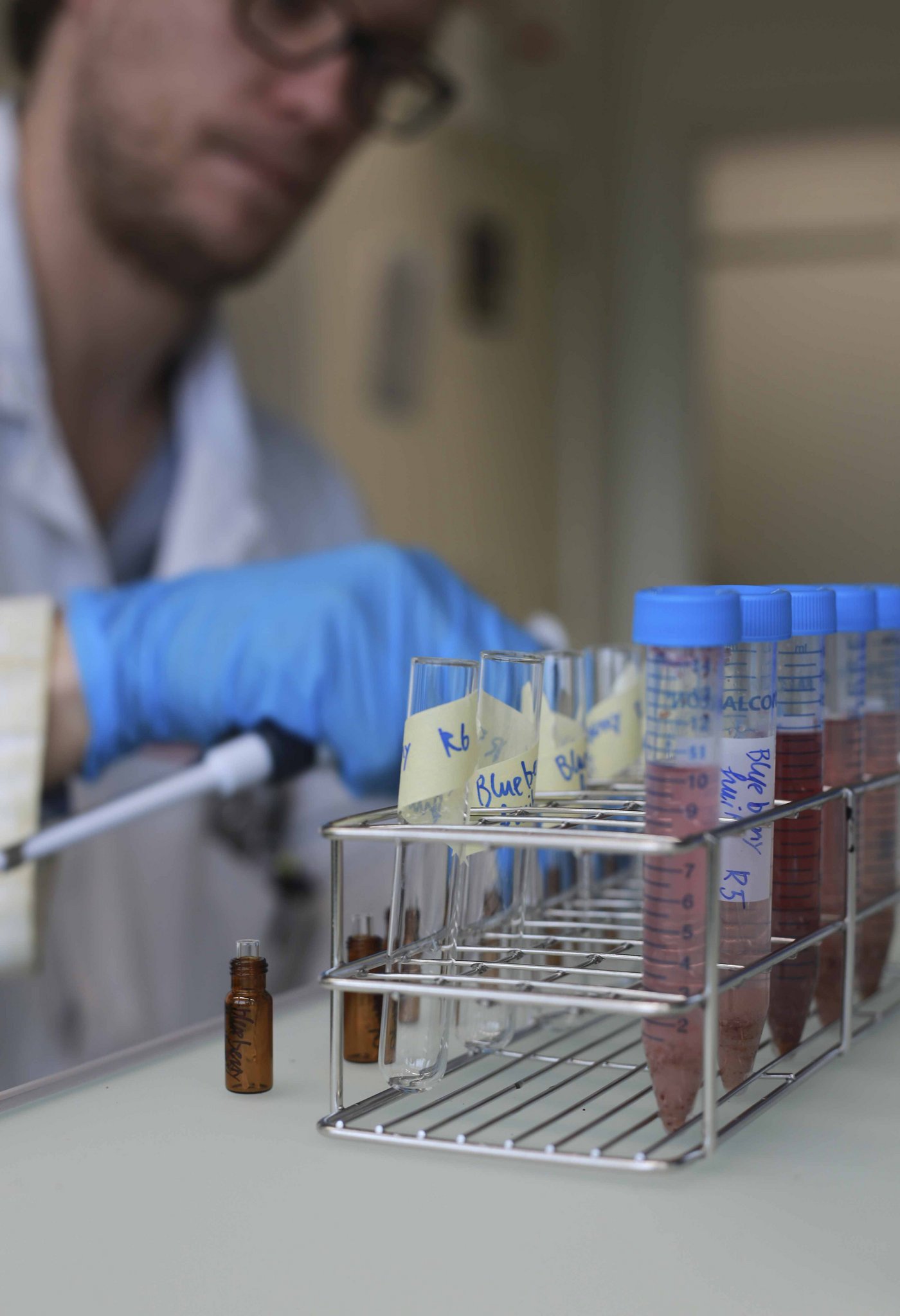 Mitarbeiter Dr. Florian Guignard erprobt, ob sich Heidelbeer-Extrakte als Netzmittel eignen würden.