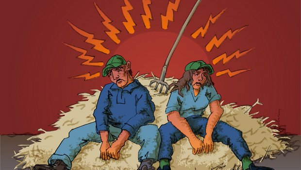 Burnout: Landwirtinnen und Landwirte häufiger betroffen Bislang waren Landwirtinnen und Landwirte eine unterbeforschte Berufsgruppe bezüglich Burnout. (Bild Agroscope)
