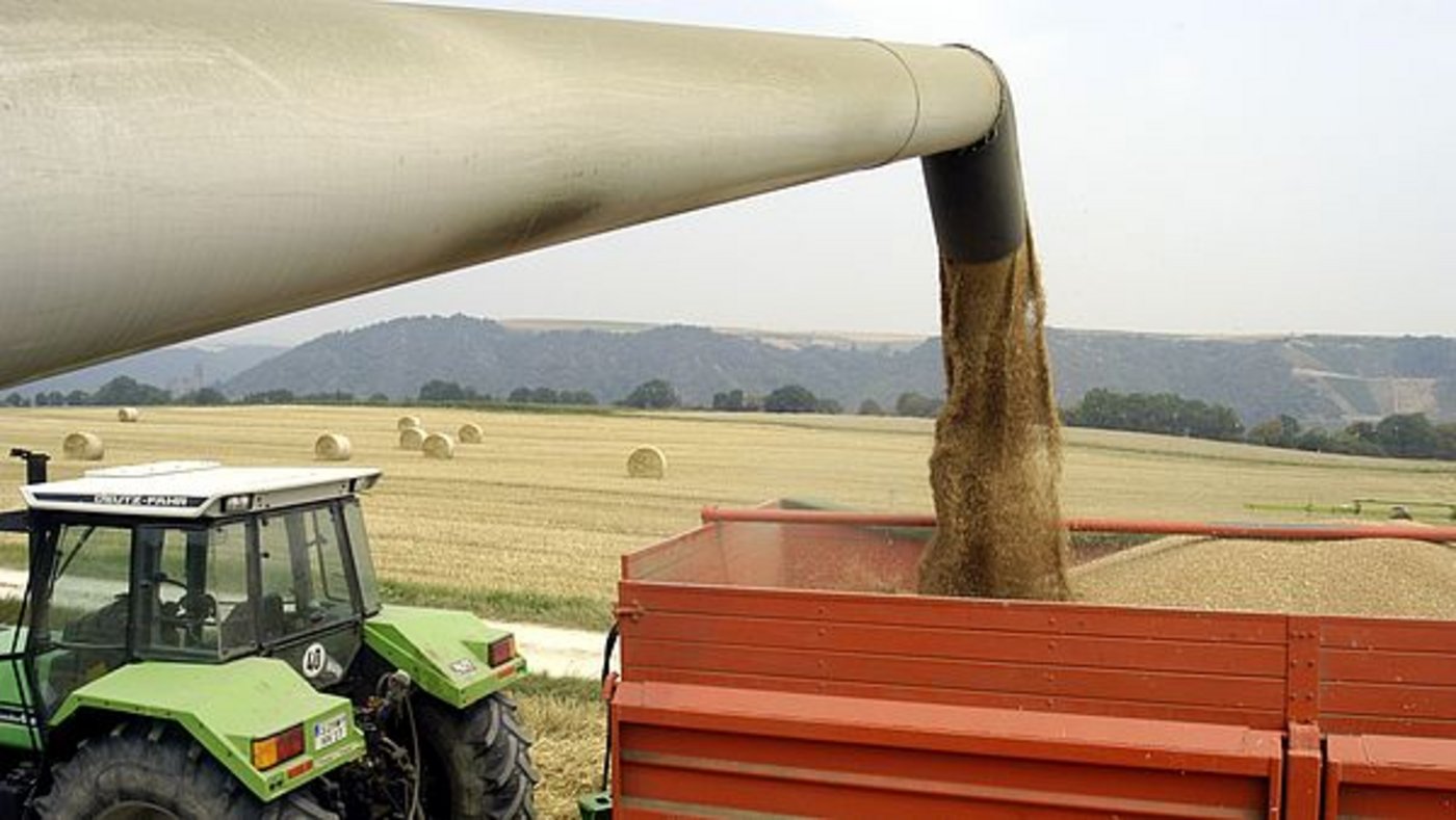 Noch ist die Ernte in Schweden nicht ganz beendet, die Zahlen sind daher noch mit Unsicherheiten behaftet. (Bild AgE) 