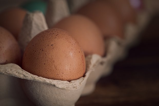 Aktuell besteht in der Schweiz Unsicherheit beim Verpackungsmaterial für Eier, da die Kapazitätsengpässe bei den wichtigsten Herstellern laut Gallo Suisse noch nicht gelöst sind. (Bild Pixabay)