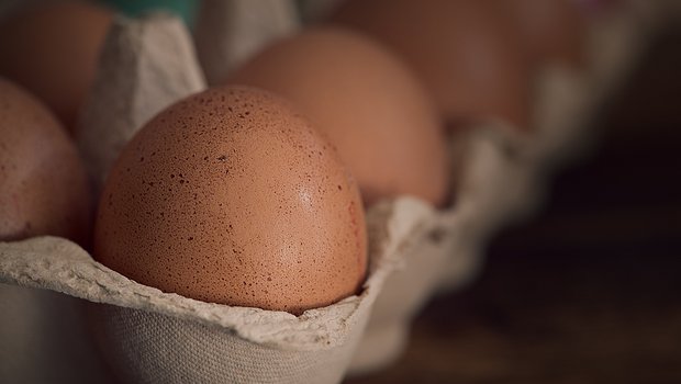 Aktuell besteht in der Schweiz Unsicherheit beim Verpackungsmaterial für Eier, da die Kapazitätsengpässe bei den wichtigsten Herstellern laut Gallo Suisse noch nicht gelöst sind. (Bild Pixabay)