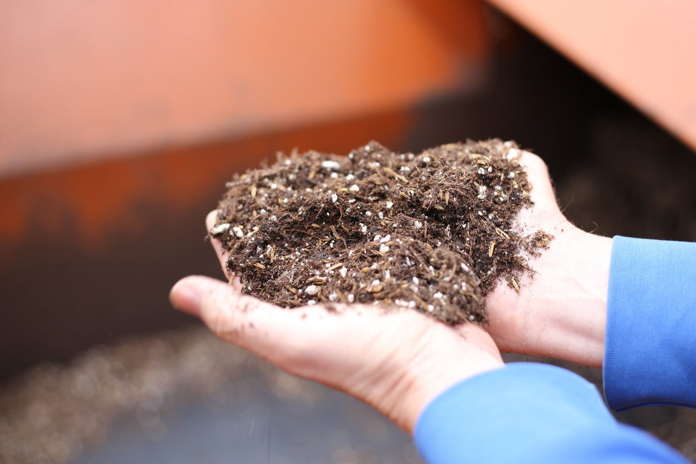 Adrian Huber hat das Substrat mit seinem Erdlieferanten entwickelt und benutzt dieses für alle Kulturen.