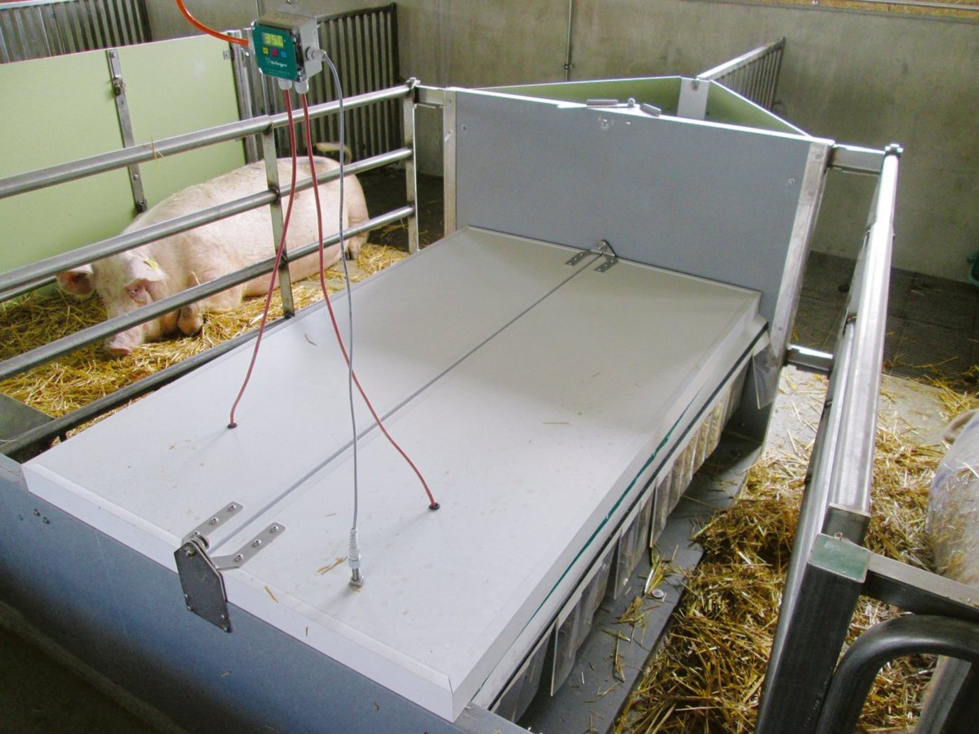 Ersatzanschaffungen werden mit dem Förderprogramm «energieeffiziente Ferkelnester» neu bis Ende 2021 finanziell vom Bund unterstützt. (Bild zVg)