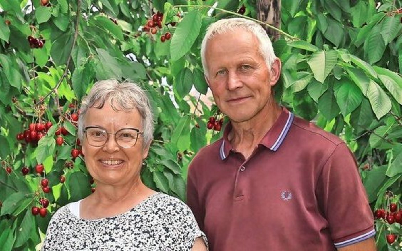 Helene und Toni Weingartner-Ottiger freuen sich über den schönen Behang in ihrer Bio-Kirschen-Anlage. Bald startet die Ernte.