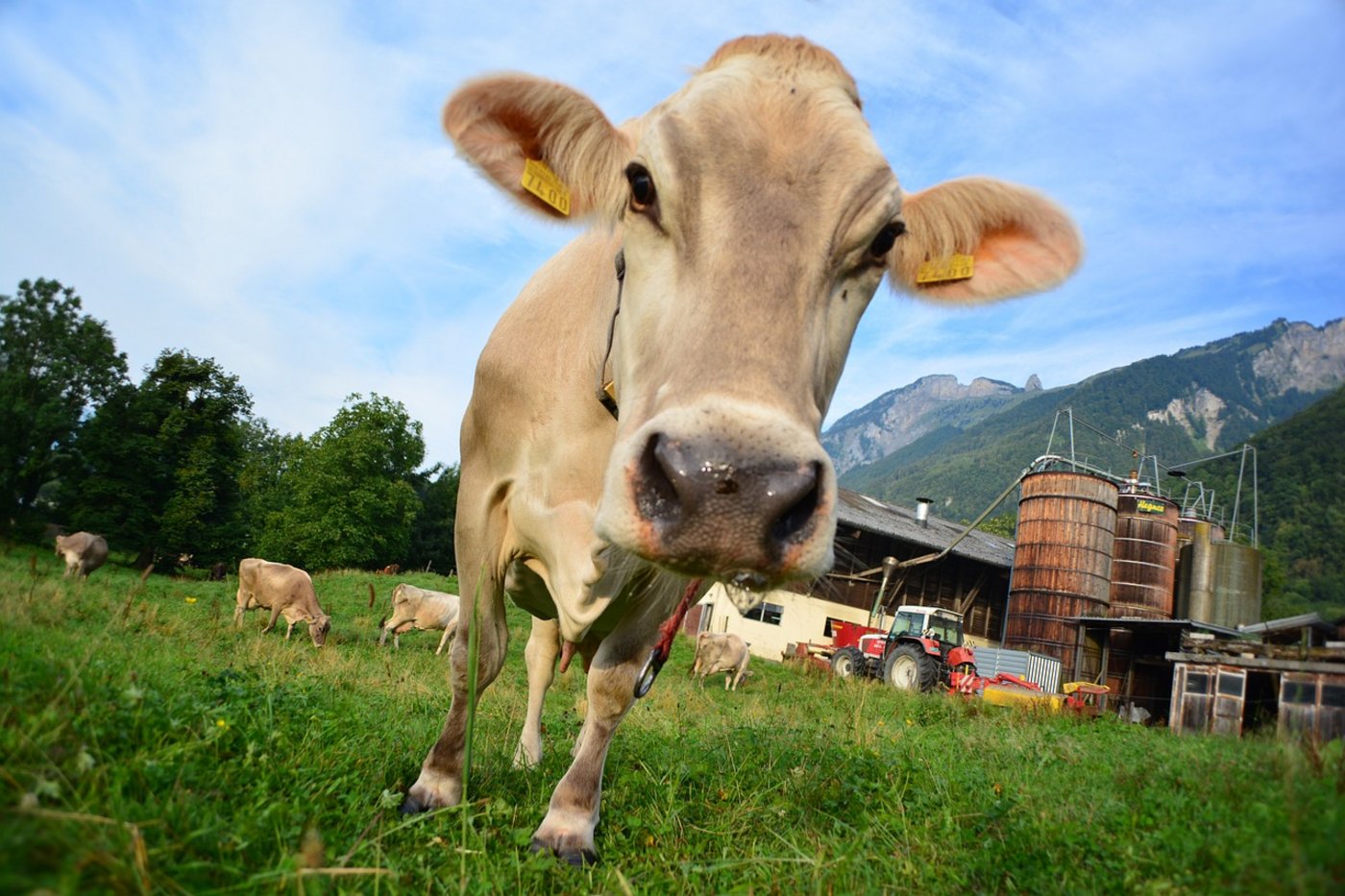 Ohne klare Weichenstellungen werde das Erreichen der Umweltziele in der Landwirtschaft weiterhin in weiter Ferne liegen, warnt eine Gruppe von Umweltverbänden. (Symbolbild Pixabay).