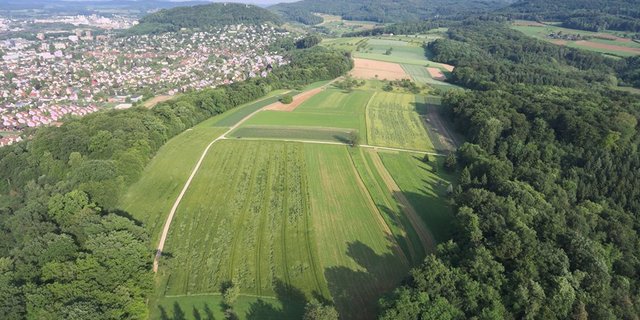 Der Rütihard erstreckt sich zwischen Muttenz BL und Münchenstein BL. (Bild Facebook)