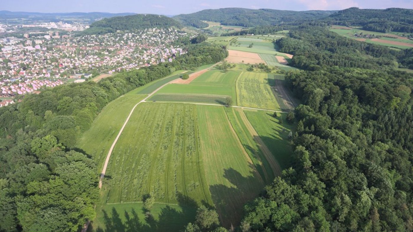 Der Rütihard erstreckt sich zwischen Muttenz BL und Münchenstein BL. (Bild Facebook)
