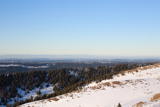 Der Windpark auf dem Mont Crosin. (Bild ji)