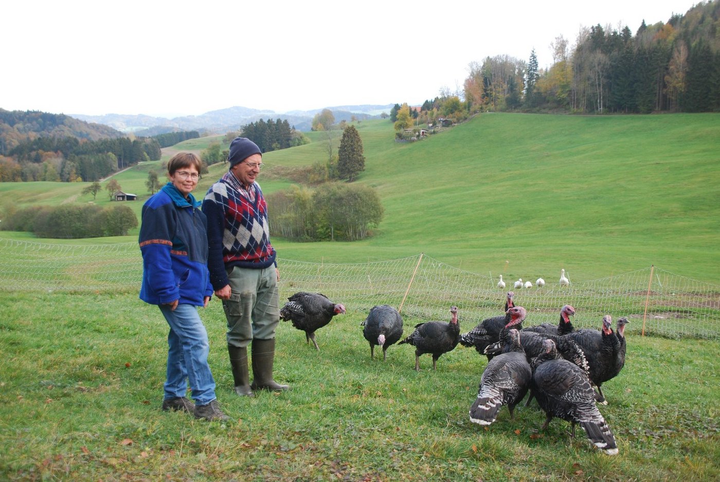 Ursula und Hans Feuz halten seit 2017 Bronzetruten. (Bilder rb)