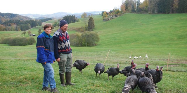 Ursula und Hans Feuz halten seit 2017 Bronzetruten. (Bilder rb)