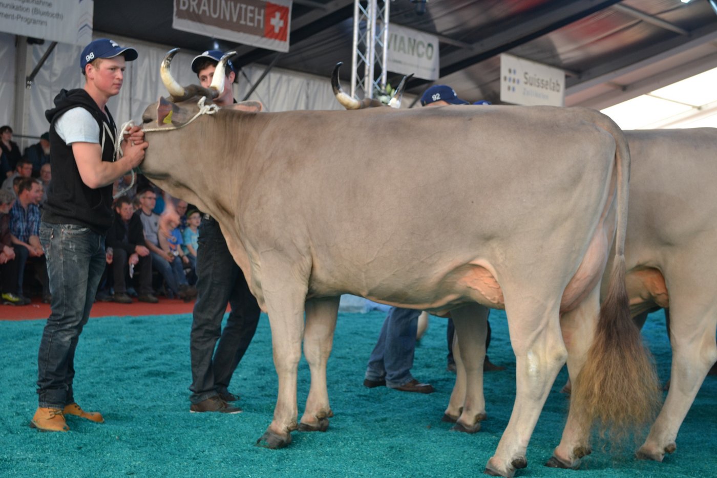 OB-Junior Champion wurde Rino Dilia von Rene Stalder aus Hasle LU. (Bilder Peter Fankhauser)