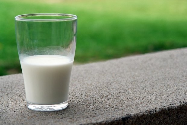 Milch decke über 75 Prozent des menschlichen Kalziumbedarfs. (Bild Pixabay)