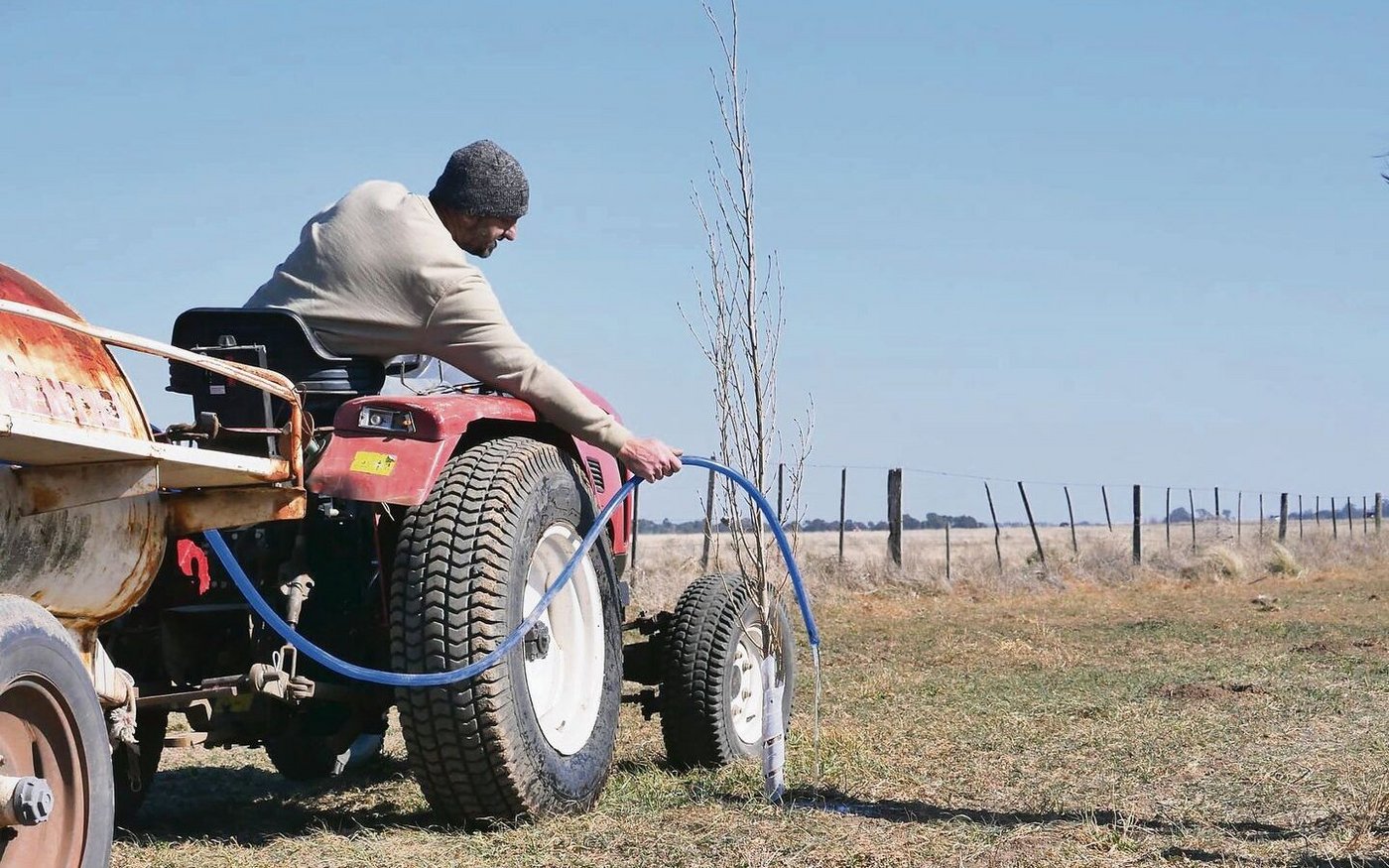 Die Bäume wollen bei dem trockenen Klima in Argentinien alle gegossen werden – eine umständliche Arbeit, wenn die Bewässerungsanlage noch nicht steht.
