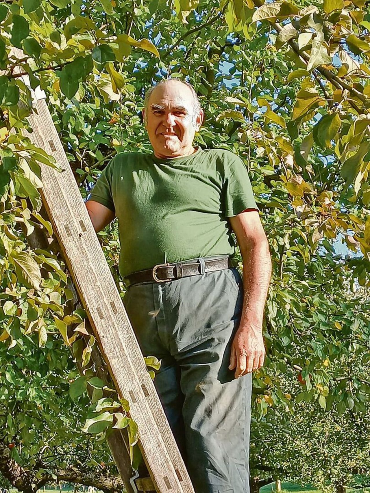 Ernst Peter ist Präsident des Vereins Hochstammobstbau Schweiz. Er kritisiert das Ernteausgleichssystem und hofft auf Alternativen.