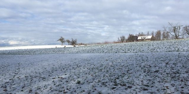 Die Landwirtschaft ist zwar der Wirtschaftszweig mit der grössten Flächennutzung, aber nicht alleine für Umweltprobleme verantwortlich. Trotzdem gibt es für keinen anderen Sektor definierte Umweltziele. (Bild jsc)