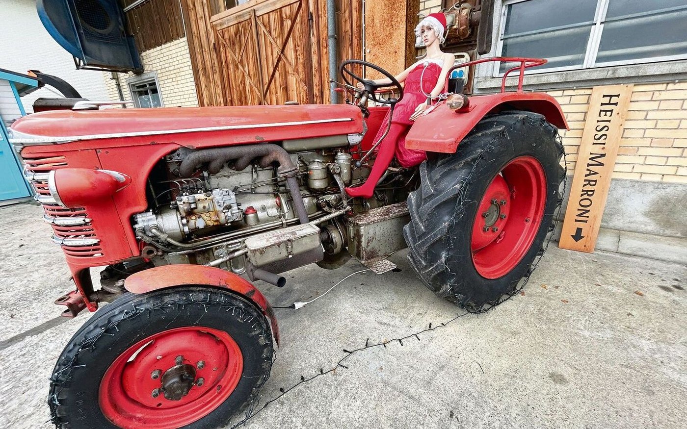 Der alte Hürlimann D90, derzeit noch weihnachtlich geschmückt, war der Lieblingstraktor ihres verstorbenen Mannes.