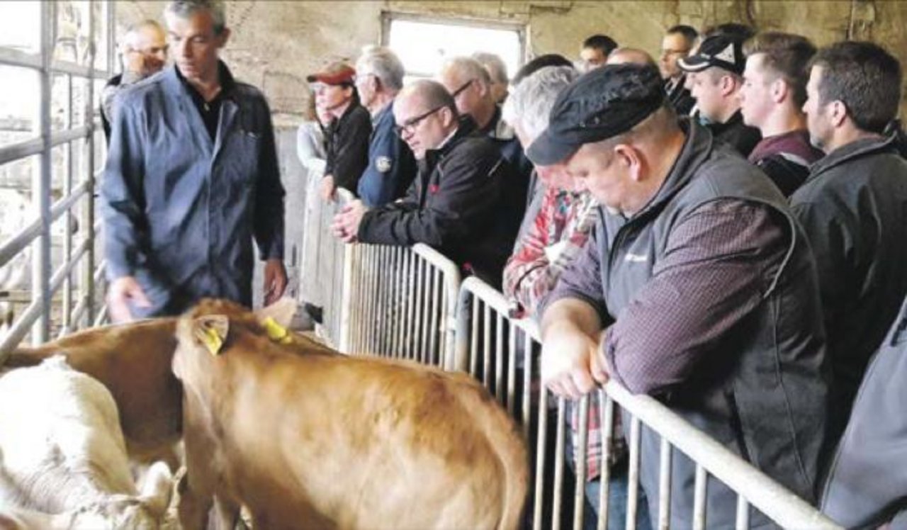 Der Kurs über Tränkekälber und den Tränkermarkt stiess bei den Mitgliedern von Swiss Beef Mittelland auf Interesse. (Bild zVg)