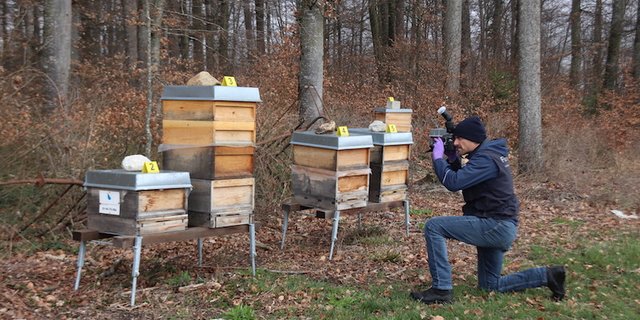 Mitarbeiter der Forensik der Zürcher Kantonspolizei haben vor Ort die Ermittlungen aufgenommen. (Bilder Roland Müller)