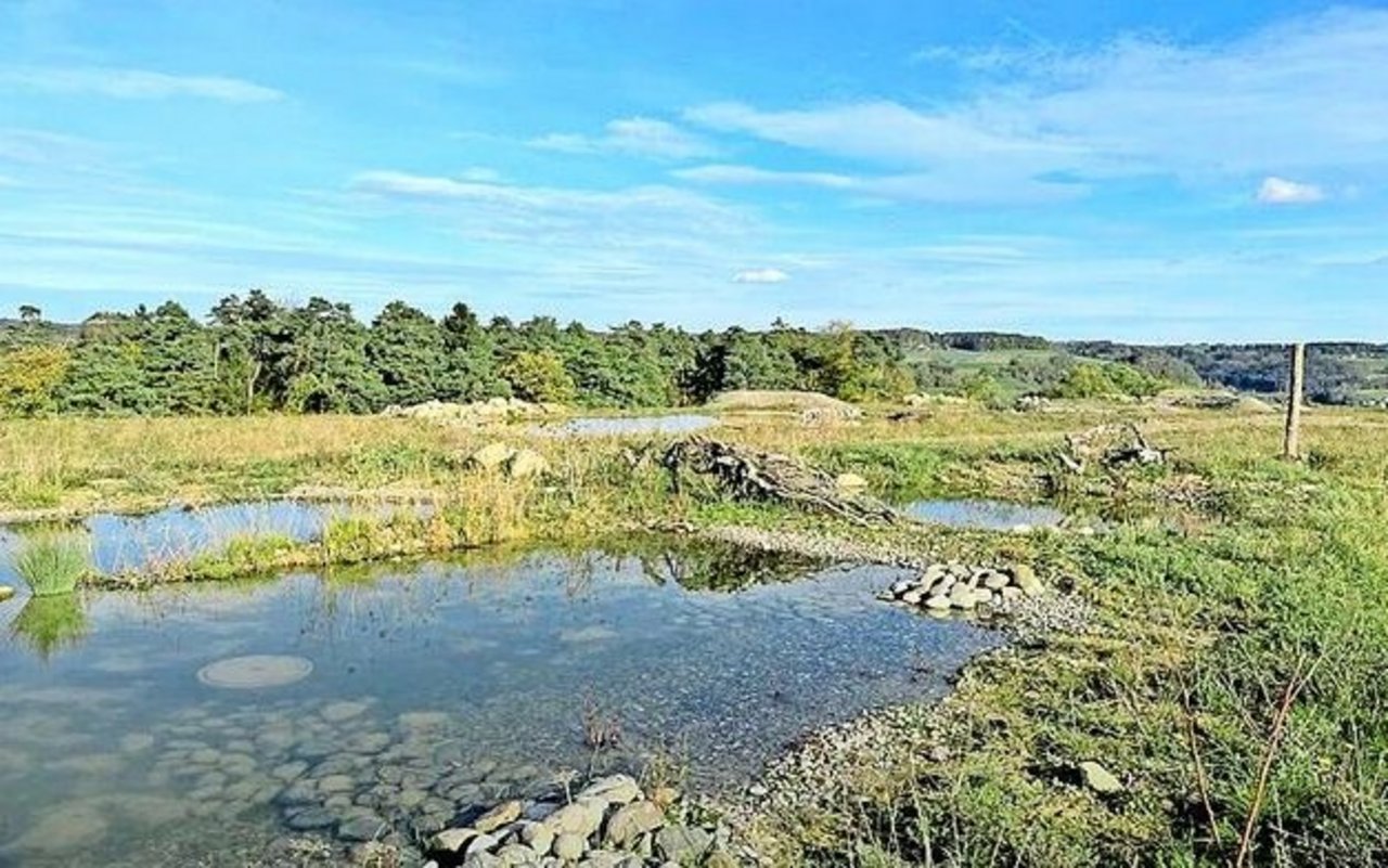 Deponie Leigrueb in Lufingen, eine ehemalige Deponie für Abfälle vom Typ E. Auf einem Teil der Fläche wurden verschiedene Naturschutzelemente angelegt.