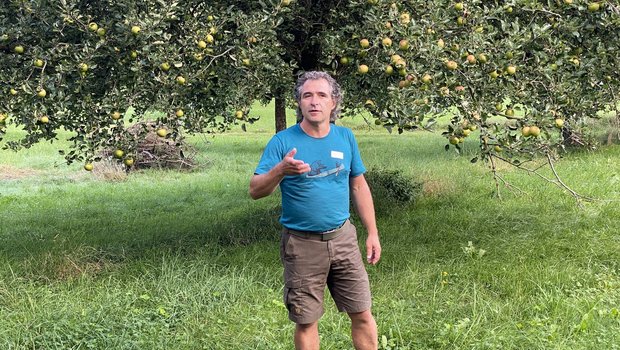 Hans Oppikofer bewirtschaftet eine 10 Hektaren grosse Mostobstanlage mit Ökowiese. (Bilder Katrin Erfurt)