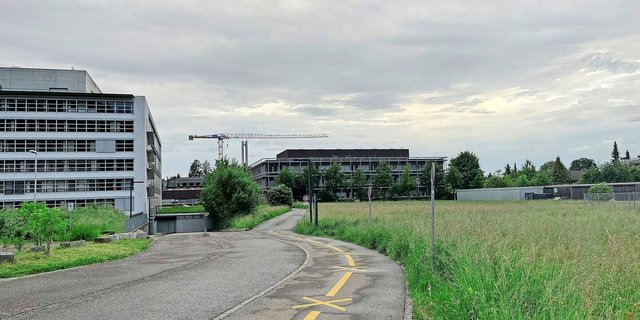 Auf dem Gelände gebe es u. a. unterirdische Sitzungsräume und eine Einstellhalle, es sei nicht fürs Befahren mit einem Traktor gemacht. Ausserdem handle es sich bei den Wiesen rund ums BLW um verpachtete BFF.