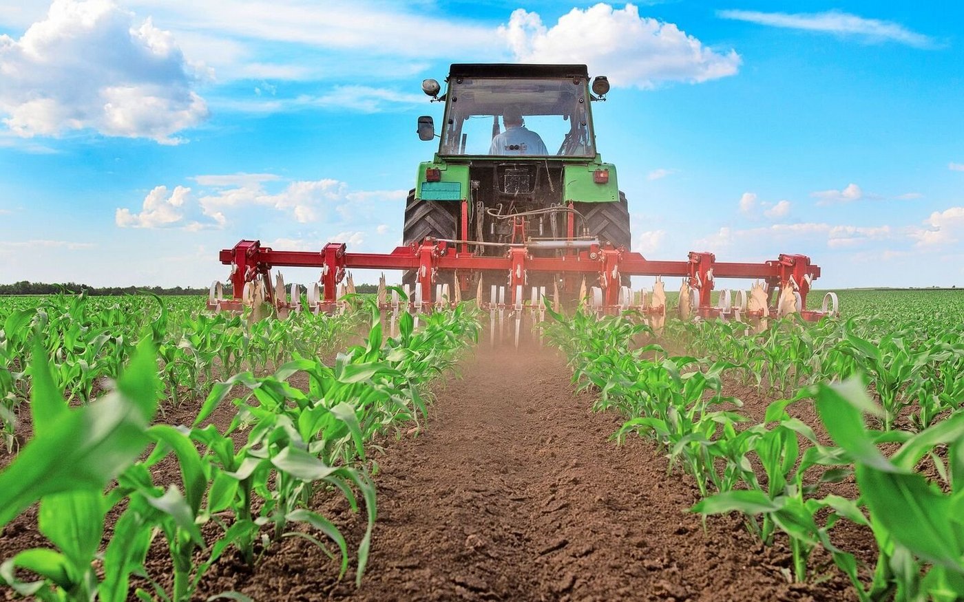 Als klassische Hackfrucht schätzt der Mais mechanische Hackdurchfahrten. Neben der Unkrautbekämpfung regen sie die Mineralisierung an und bringen Luft in den Boden. 