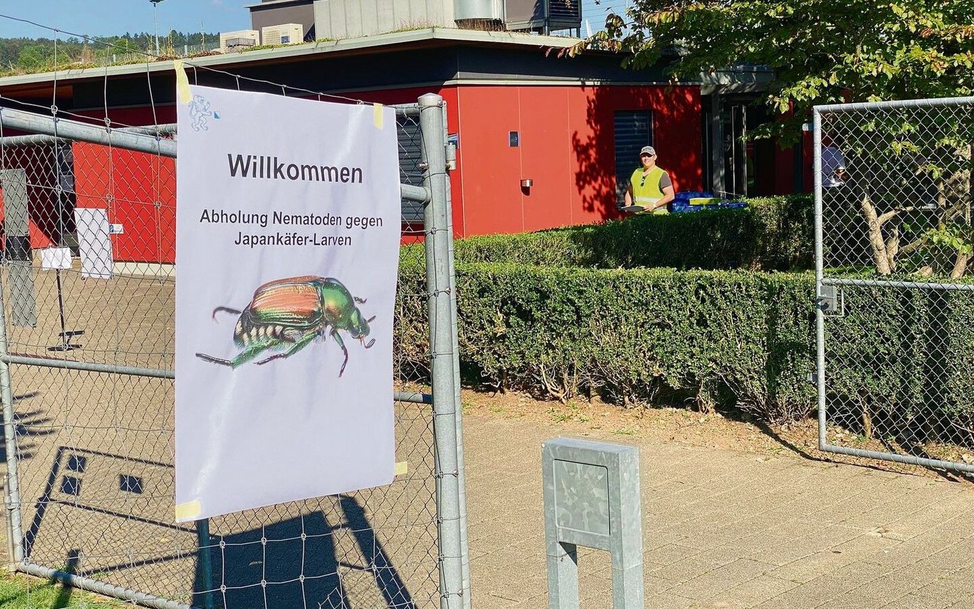 Am 8. September verteilten Mitarbeiter der Fachstelle Pflanzenschutz des Strickhofs Fadenwurmpräparate.