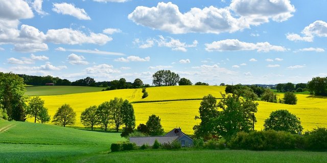 Das Nein zum CO2-Gesetzt sei jedoch kein Nein zum Klimaschutz, meint Bundesrätin Simonetta Sommaruga. (Bild Pixabay)