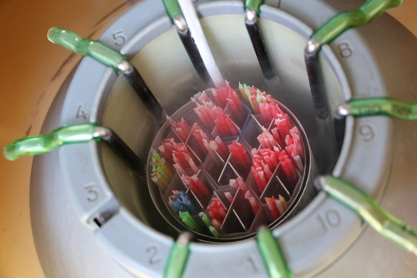 Samen von 22 Rassen hat Rüttimann stets dabei. 