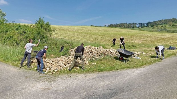 Freiwillige im Natur Freiwillige im Natureinsatz im Jurapark: Bau einer Steinlinse für Reptilien auf dem Eichhof in Bözen.