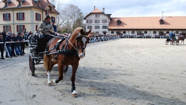 Der Verband geht von rund 3000 Besucherinnen und Besuchern aus. (Bild jsc)