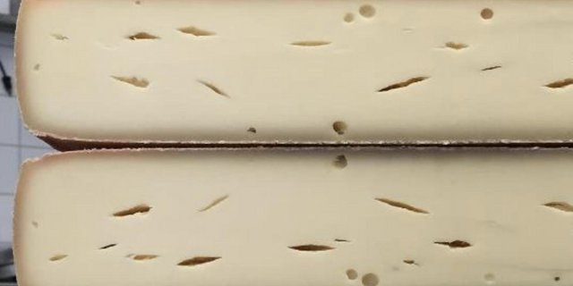 : Raclettekäse mit fehlerhafter Lochung verursacht durch eine Propionsäuregärung. (Bild Merkblatt Agroscope)