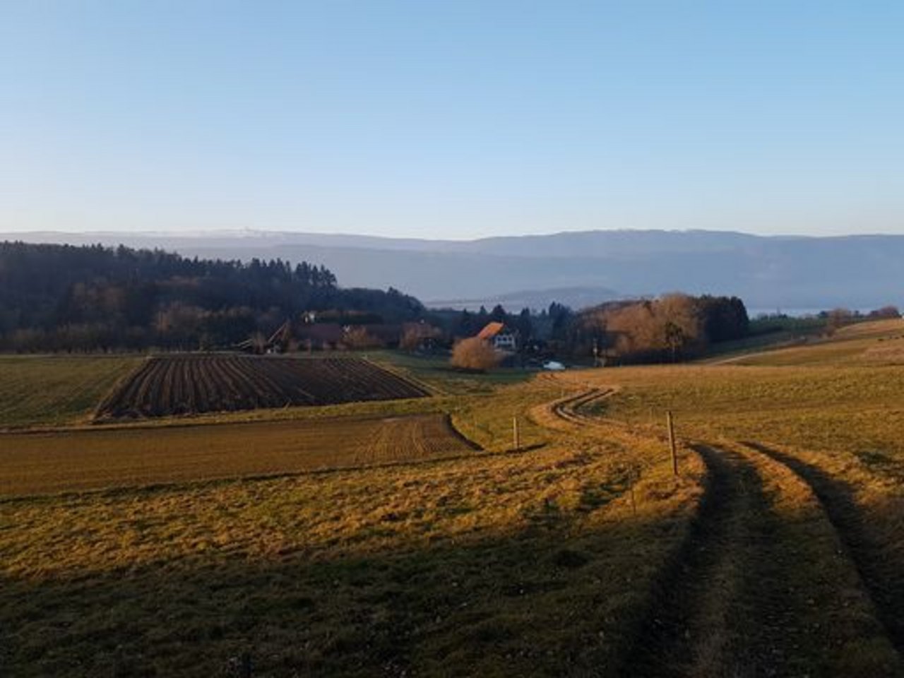 Bäuerinnen und Bauern sorgen für Versorgungssicherheit. Aber alles lässt sich in der Schweiz nicht produzieren. (Bild ji)