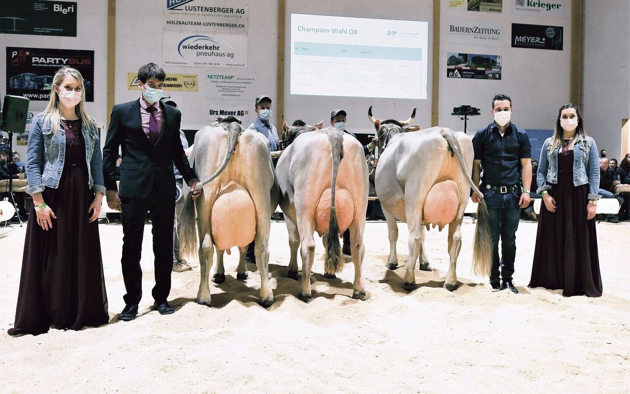 Die schönsten OB-Kühe der Lubra (von links): Champion Geraldine, die Vize Orina (beide von Thomas Bucher) und die Mention Honorable Holdria von René Stalder. 