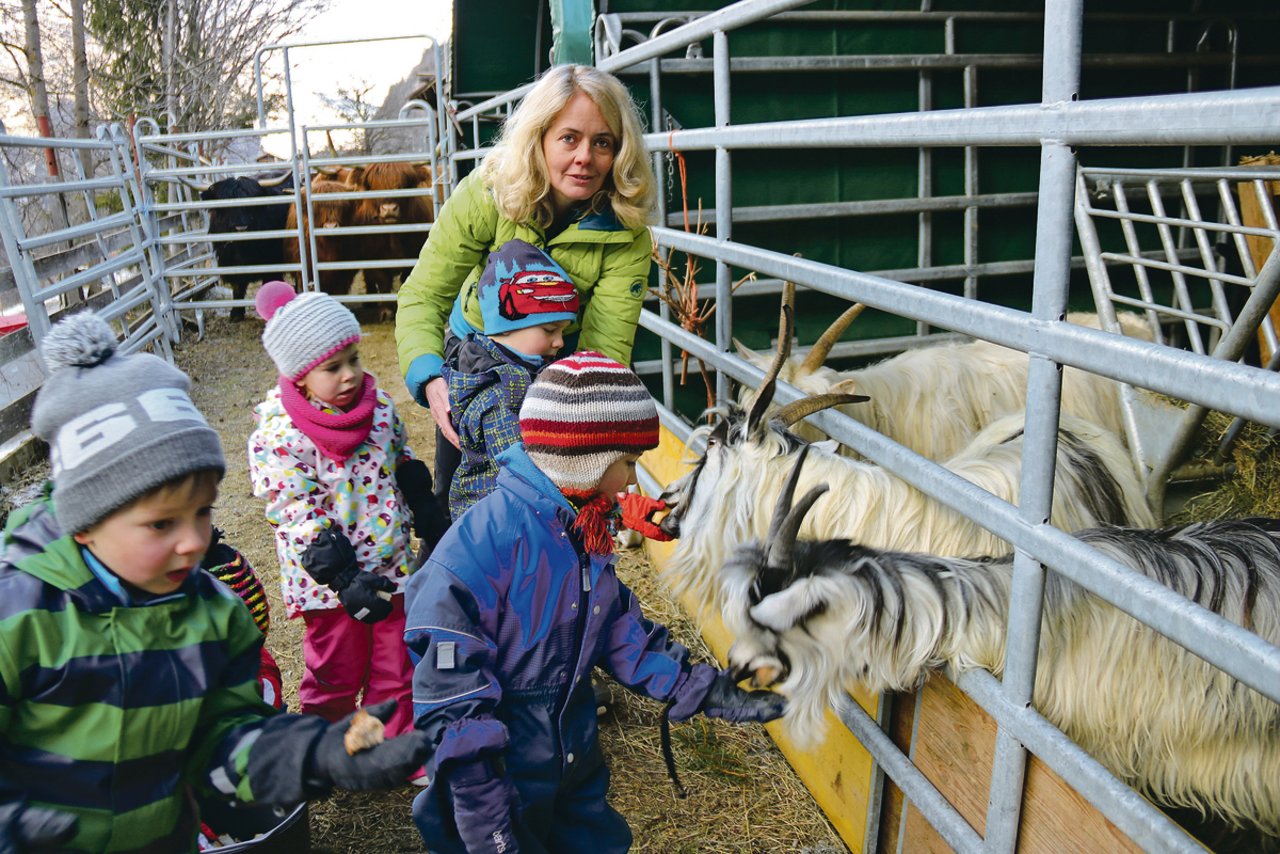 Die Kinder freuen sich, sich um die Ziegen auf dem Spielgruppenhof «Rägubogu» zu kümmern. Es sind alles Walliser Pro-Specie-Rara-Ziegen.(Bild bb)