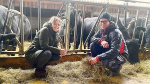 Johanna und Beat Bergmann wollen auf ihrem Betrieb Kreisläufe schliessen. Daher experimentieren die Agronomin und der Landwirt auch mit Ansätzen der Regenerativen Landwirtschaft.