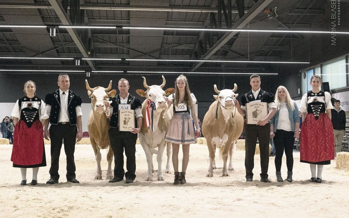 Die Missen der Simmental: Volta von Peter Brügger (links), Malea von Daniel und Adelheid Graf (Mitte) sowie Rosalie von Ueli Schärz.