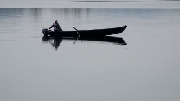 Von der Fischerei kann am Bodensee niemand mehr leben. Jeder Fischer hat sich mittlerweile einen Nebenberuf suchen müssen, klagt Elke Dilger vom Verband badischer Berufsfischer am Bodensee. (Bild Pixabay) 