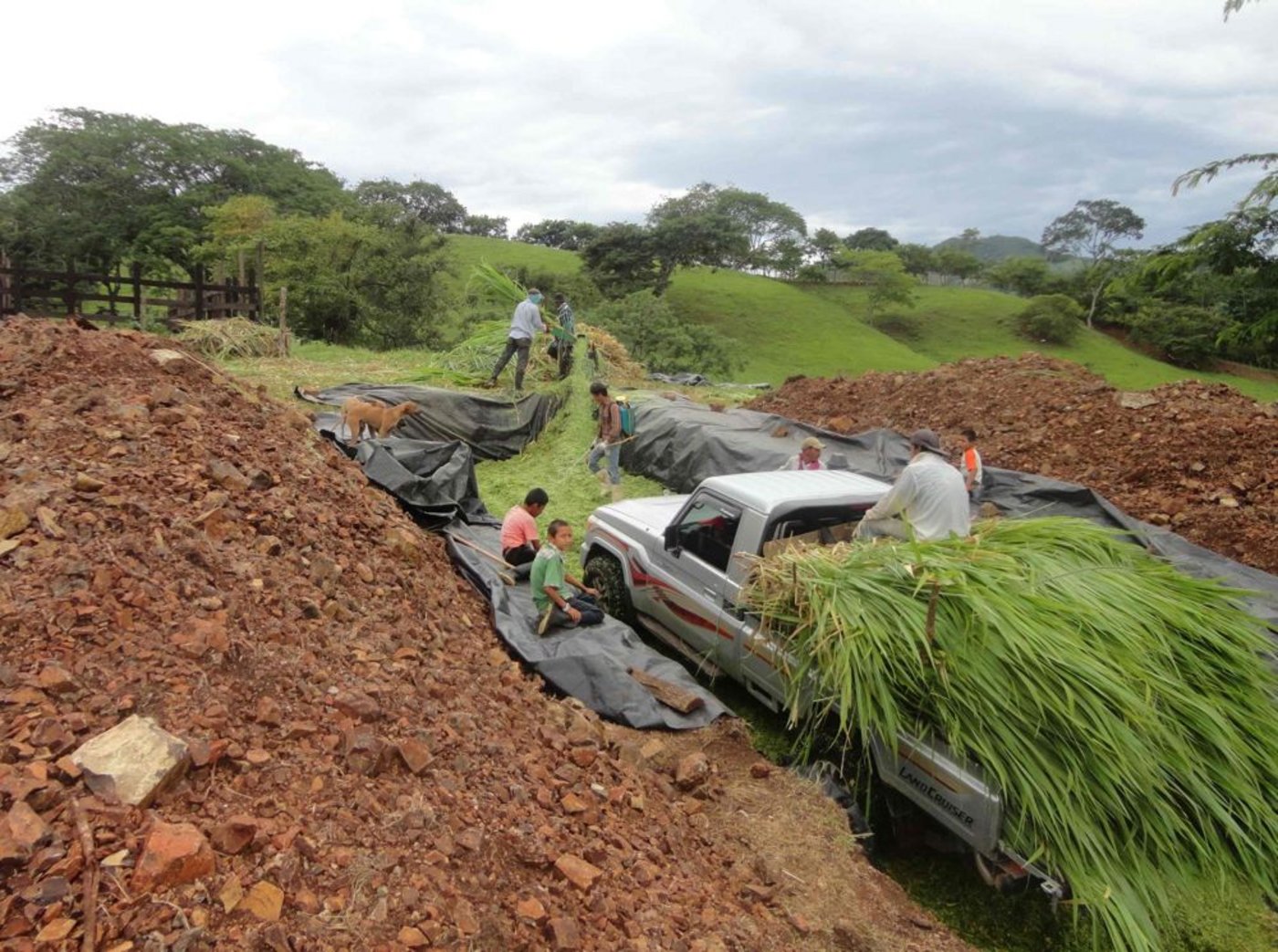 ... fertige Werk aus. 