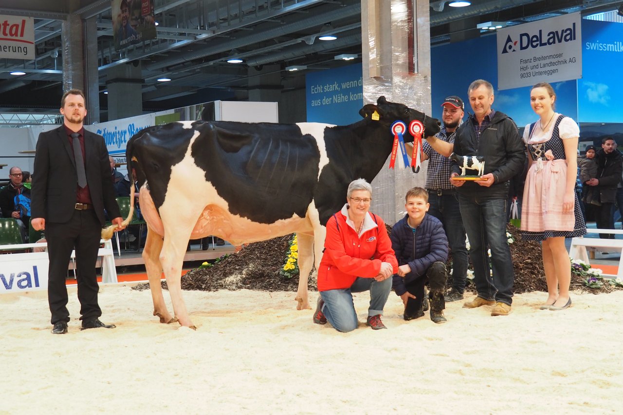 Die in der zweiten Laktation stehende Tunja aus dem Stall von Andreas Krieg in Niederurnen ist die Holstein Champion.