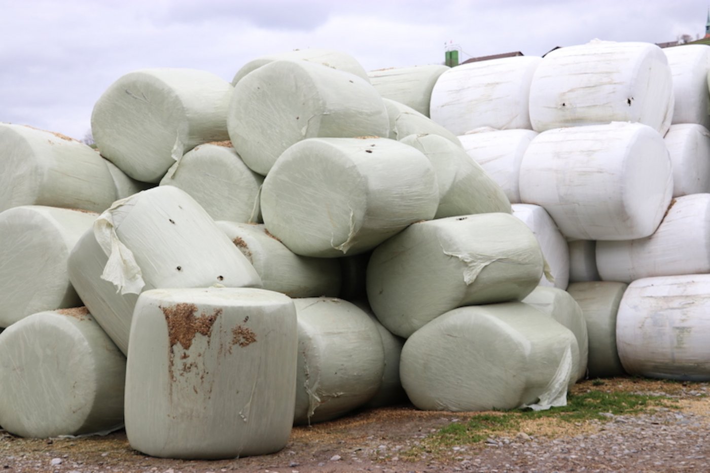 In der Schweiz werden Folien aus der Landwirtschaft in der Regel nach einmaligem Gebrauch verbrannt. (Bild Ruth Aerni)