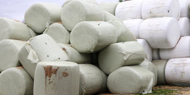 In der Schweiz werden Folien aus der Landwirtschaft in der Regel nach einmaligem Gebrauch verbrannt. (Bild Ruth Aerni)