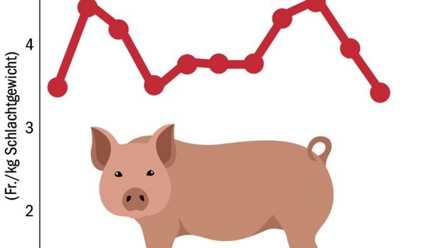 Auch 2021 war kein rosiges Schweinejahr. Da betrug der Durchschnittspreis aber noch Fr. 3.94/kg SG.