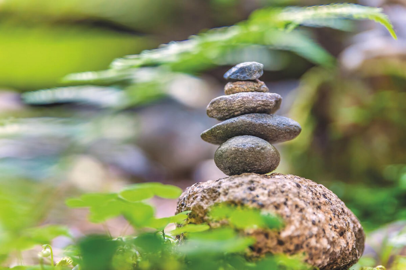 Focusing kann helfen, Entscheidungen zu treffen. (Foto: Fotolia)
