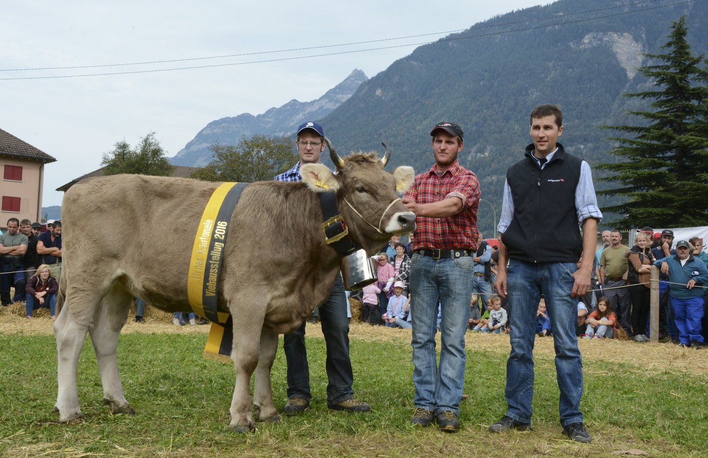 Rinderchampion OB aus dem Stall Theo und Toni Kempf, Attinghausen: Koni Maedi.