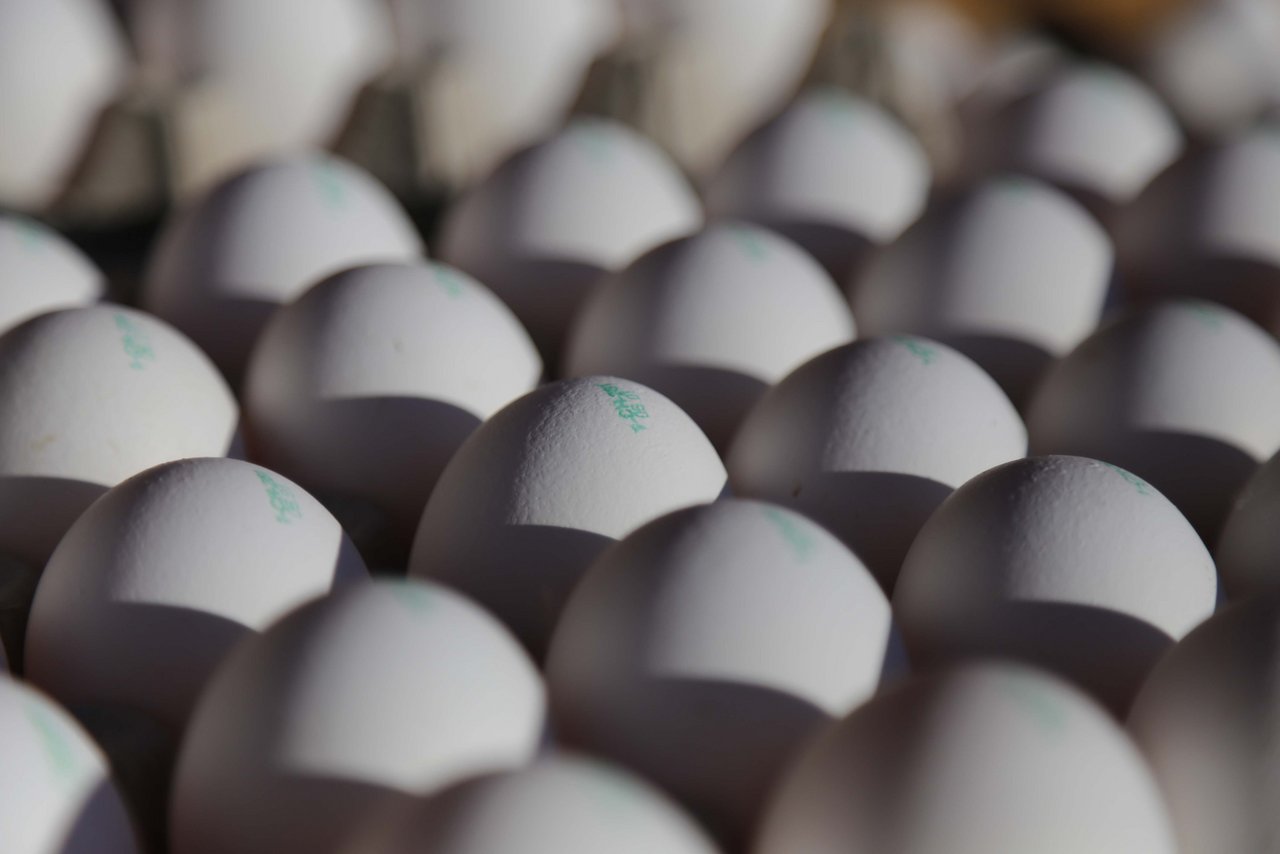 Im Ausland sind Freiland- und Bio-Eier weiterhin knapp. (Symbolbild, ji)