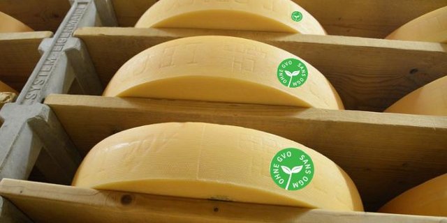 Seit letztem Jahr gibt es ein eigenes Logo zur Kennzeichnung GVO-freier Produkte in der Schweiz. (Bild und Montage BauZ)