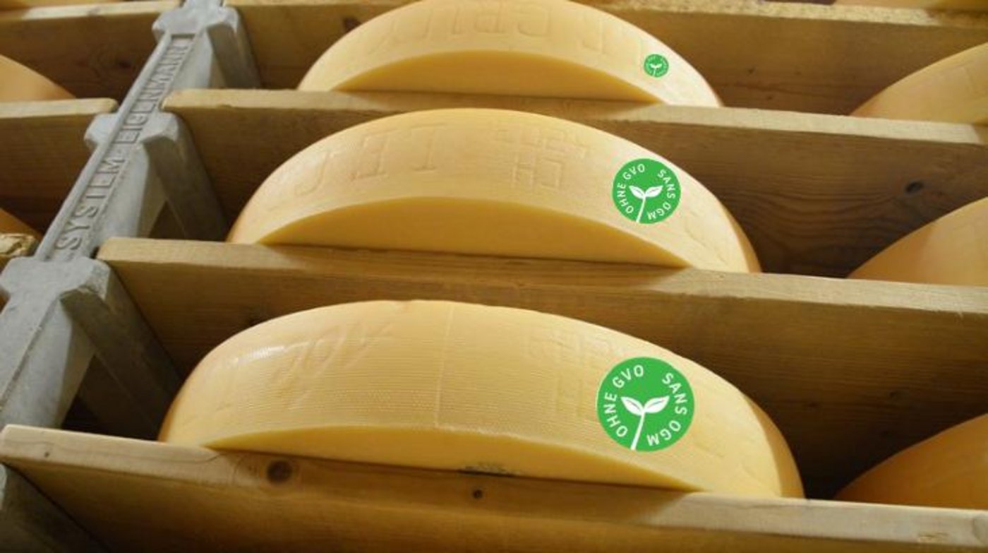 Seit letztem Jahr gibt es ein eigenes Logo zur Kennzeichnung GVO-freier Produkte in der Schweiz. (Bild und Montage BauZ)