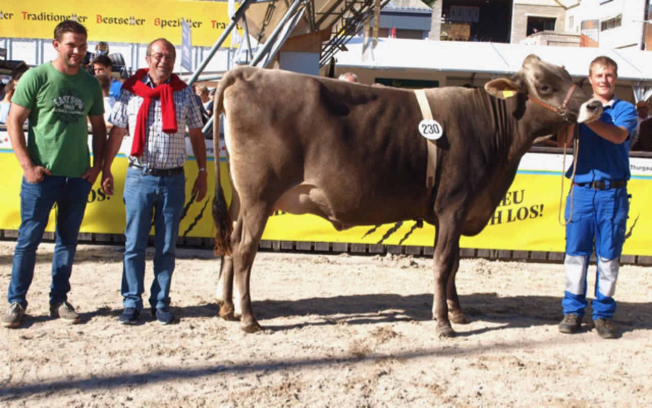 Grund zum Strahlen: Stefan Battaglia konnte seine Kuh zum höchsten Tagespreis von 8 450 Franken an Werner Schläpfer verkaufen.