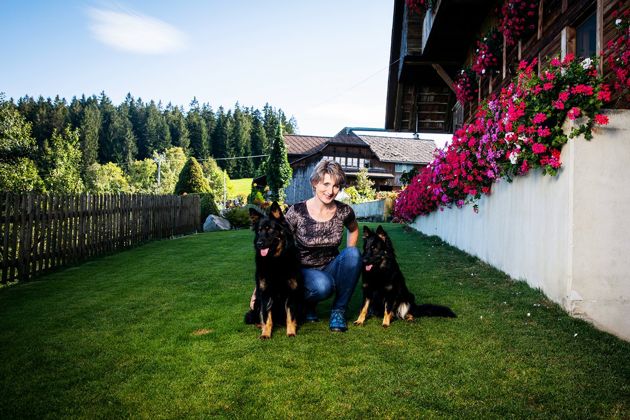 Verschiedene Klein- und Haustiere leben bei Bärtschis auf dem dem Hof. Auch diese tschechischen Schäferhunde.